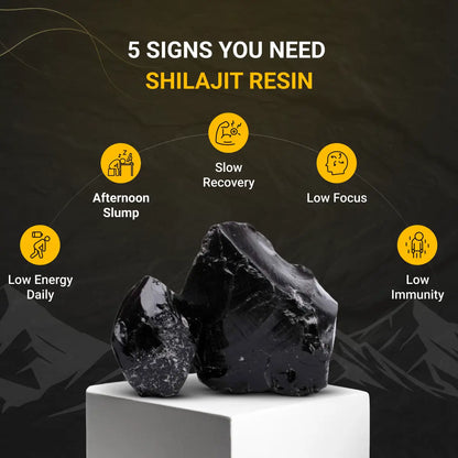 Pure Shilajit Resin