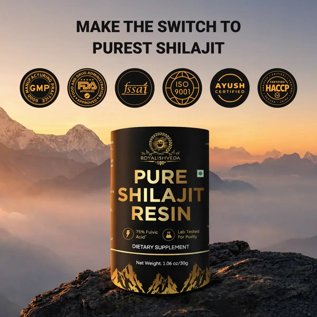 Pure Shilajit Resin