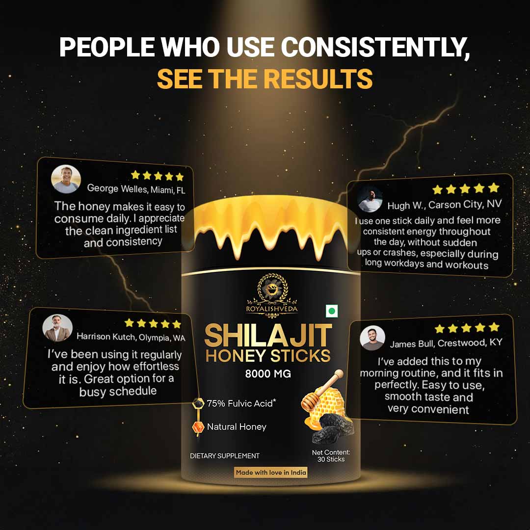 Shilajit Honey Sticks
