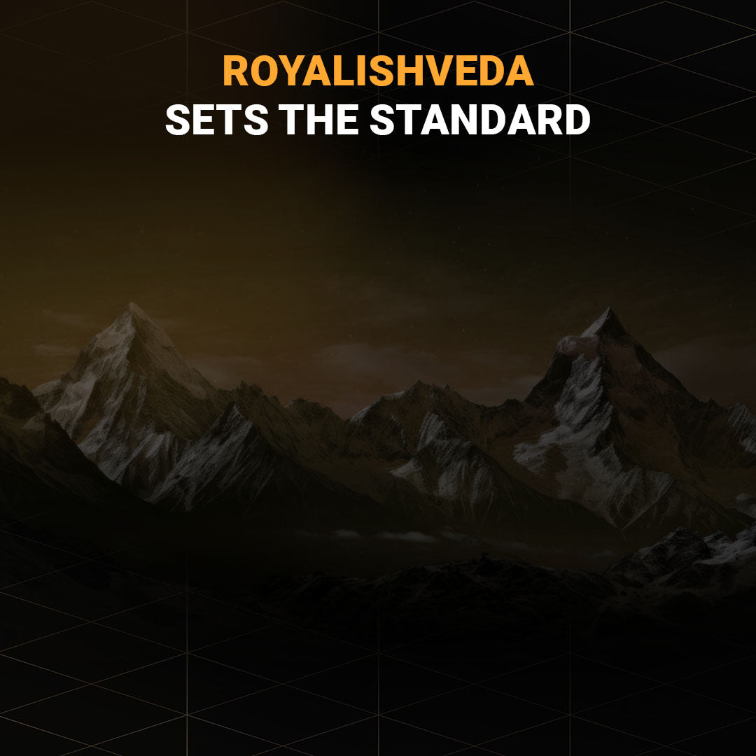 Shilajit Honey Sticks