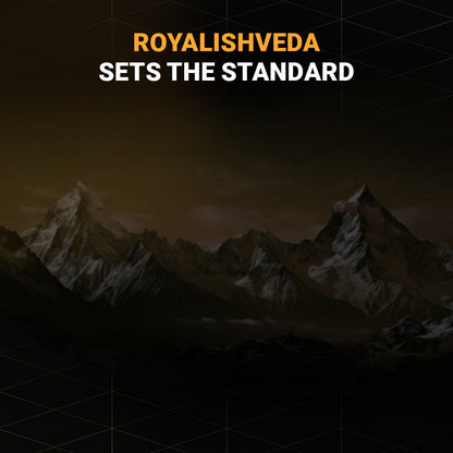 Shilajit Honey Sticks